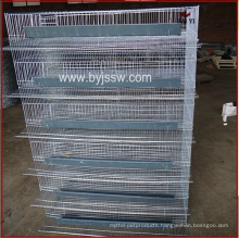 Cheap 600Quails Capacity Automatic Quail Cage